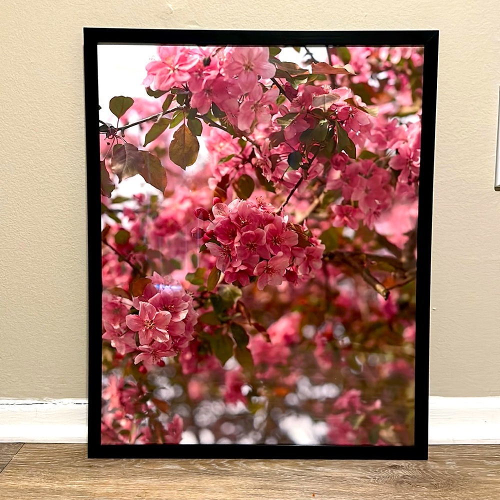 Flower Photography With Black Frame